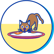 Picto toxique chat