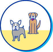 Picto bouledogue