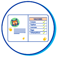 Picto carnet de sant&eacute;