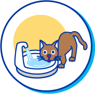 Picto chat fontaine