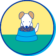 Picto fox-terrier