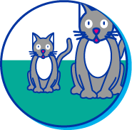 Picto chat skookum