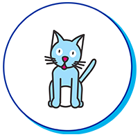 chat