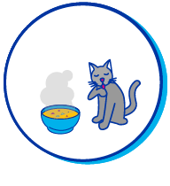 Picto chat bouillon
