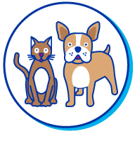 Picto chat bouledogue
