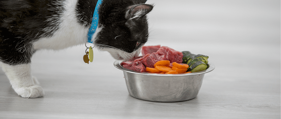 Comment nourrir naturellement mon chat ? Tout savoir