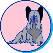 Picto skye terrier