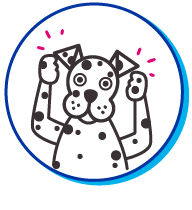 Picto dalmatien