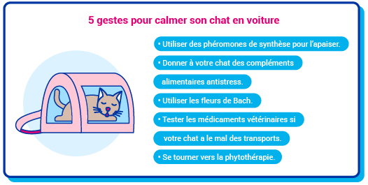Picto transporteur chat