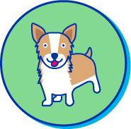 Picto d'un welsh corgi pembroke
