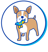 Picto chien avec jouet