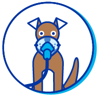 Picto chien th&eacute;rapie