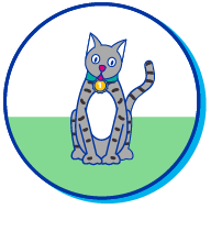 Picto chat American wirehair