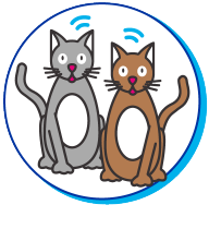 Picto de chats connectés