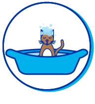 Picto chat bain mousse