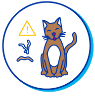 picto chat avec des vers