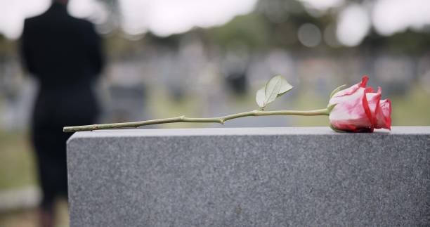 Rose sur une tombe