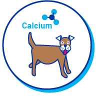 Picto chien calcium
