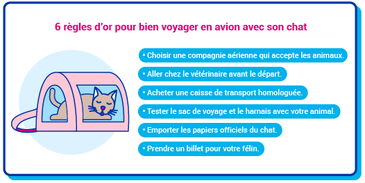 Picto voyage chat