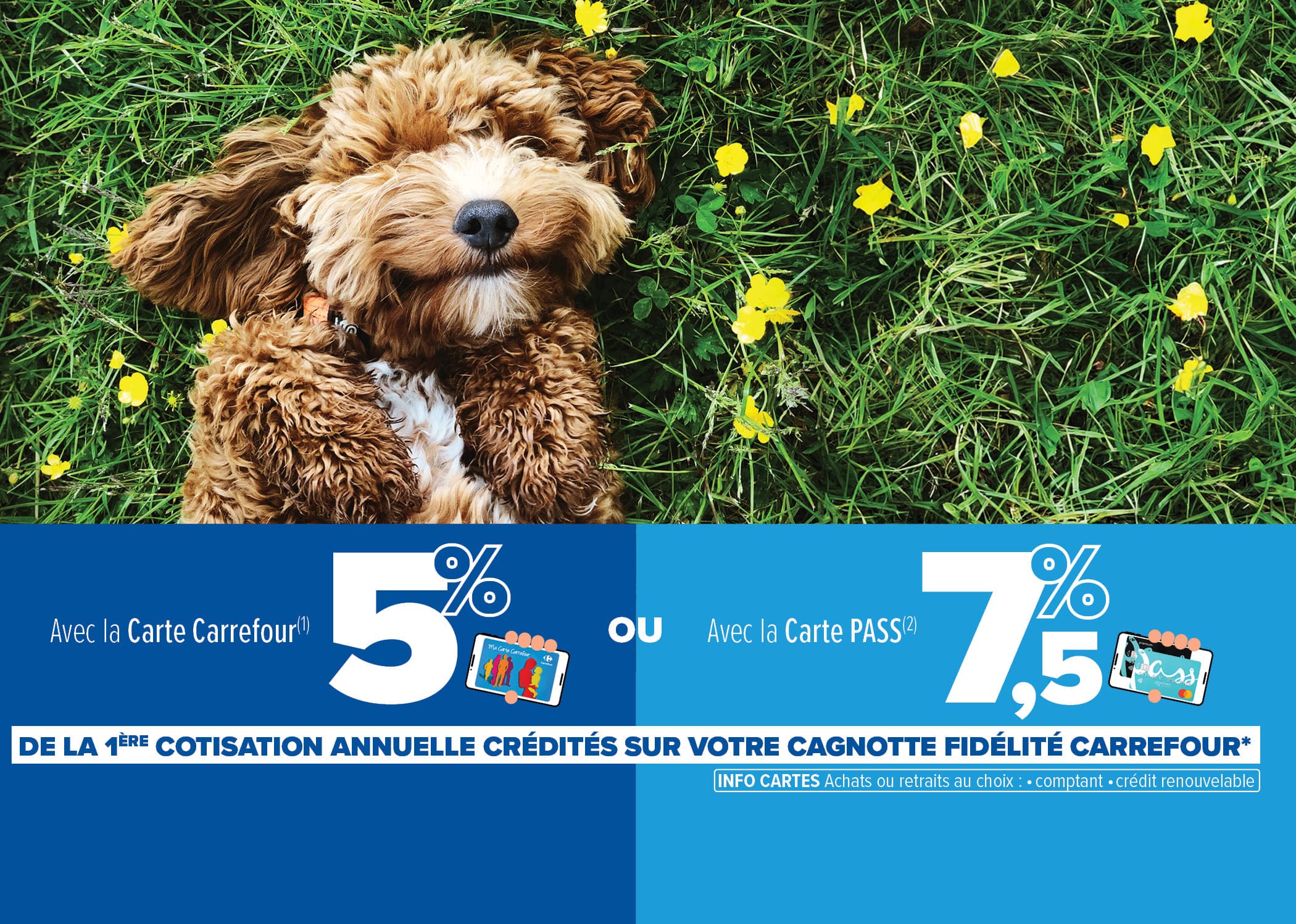 Les avantages Fidélité Carrefour