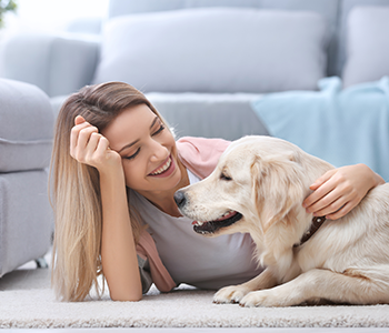 Chien avec son ma&icirc;tre