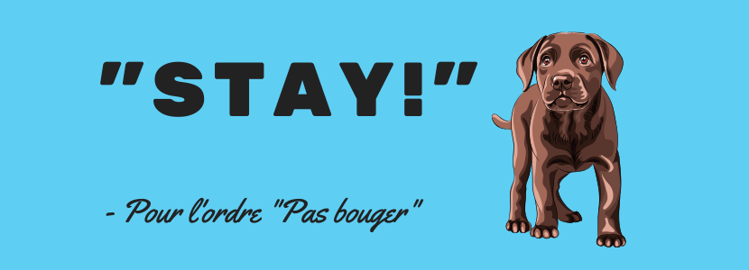 Pas bouger