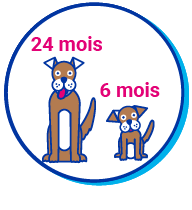 Picto chien grand et petit