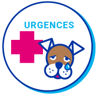 Picto chien urgence