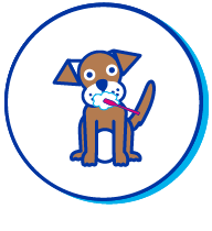 Picto chiot brosse