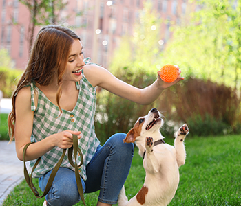 Sortie avec son chien