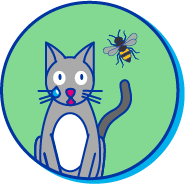 Picto chat abeille