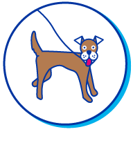 Picto chien laisse