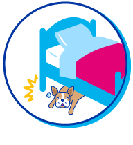 Picto chien cach&eacute;