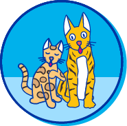 Picto chat bengal