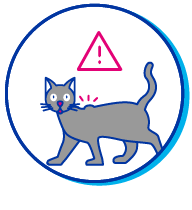 Picto chat danger