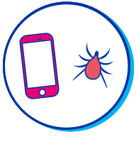 Picto smartphone tique