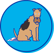 Picto Welsh terrier
