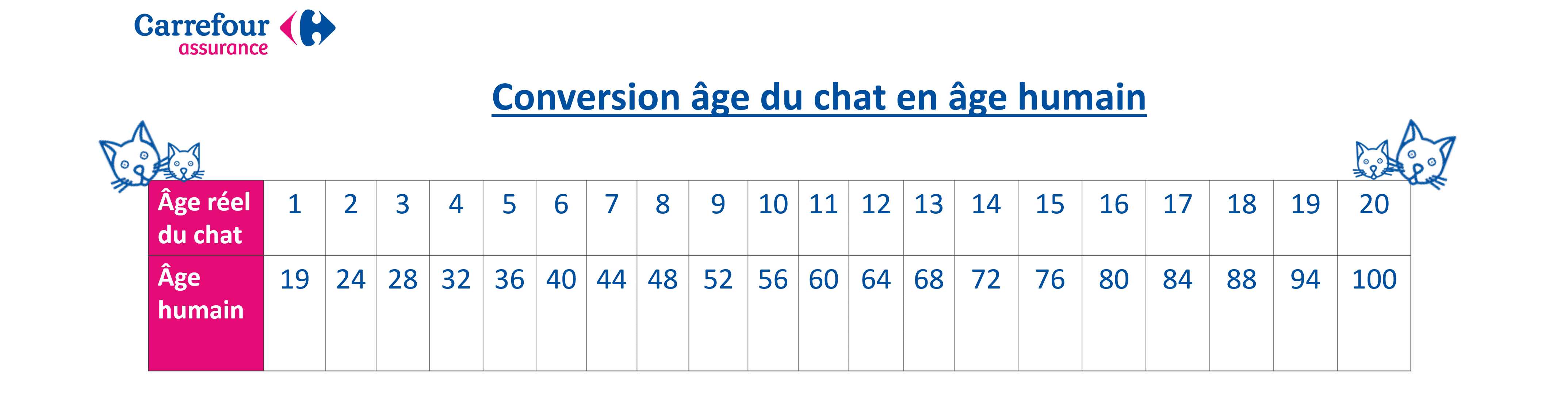 &acirc;ge humain du chat