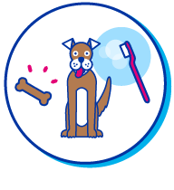 Picto chien brosse &agrave; dents