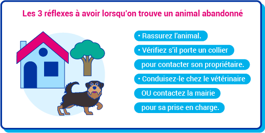 Animaux abandonn&eacute;s