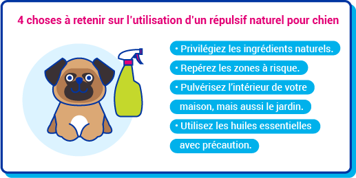 R&eacute;pulsif chien