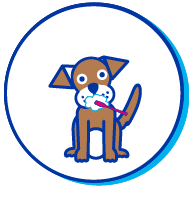 chien brosse &agrave; dent