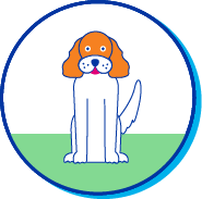 Picto cavalider king charles
