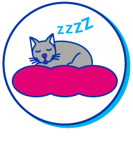 Picto chaton dort