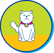 Picto angora