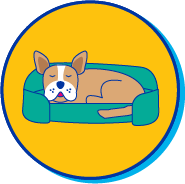 Picto chien dort