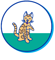 Picto bengal