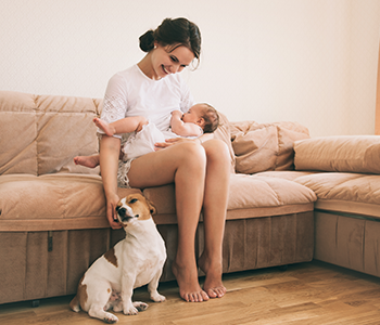 Chien avec b&eacute;b&eacute;