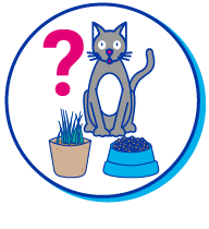 Picto chat plante