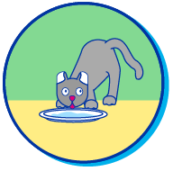 Picto chat highland lynx
